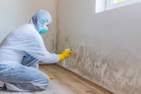 Reliable Worthington, MN Mold Prevention & Removal  Solutions